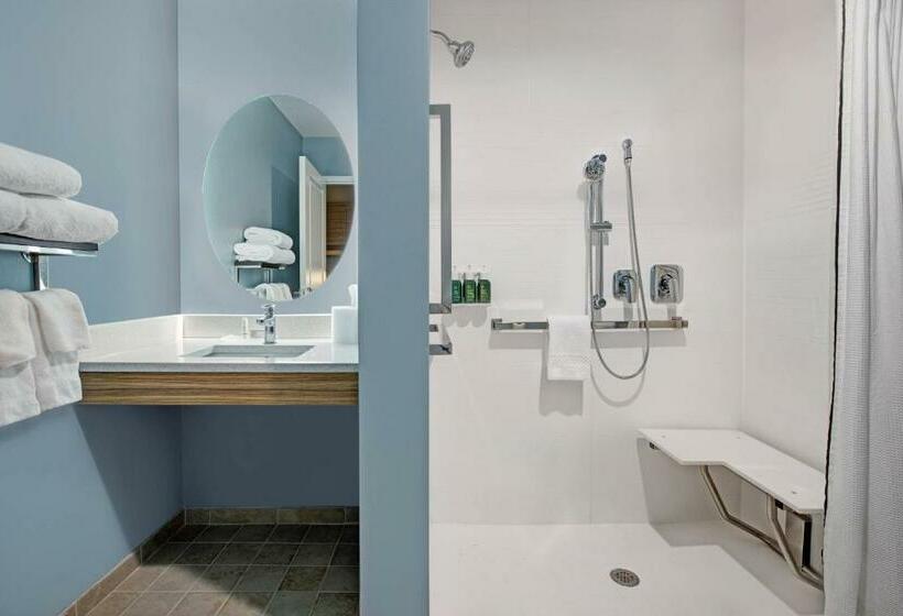 إستوديو قياسى سرير كينج, Towneplace Suites By Marriott Potomac Mills Woodbridge