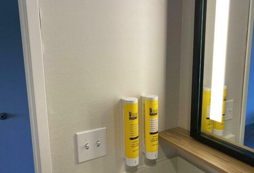 장애인을 위한 킹사이즈 침대 스탠다드 룸, Tru By Hilton Radford, Va