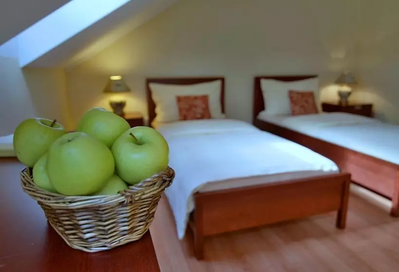 اتاق راحتی, Eco Friendly Hotel Dália