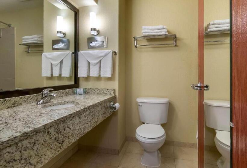 Стандартный Номер Кровать Кинг, Best Western Governors Inn And Suites