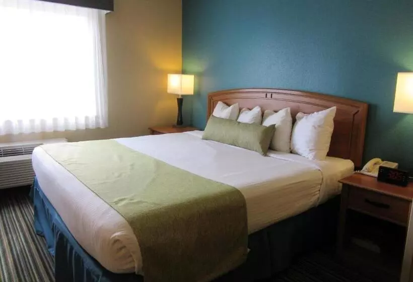 اتاق استاندارد با تخت بزرگ برای معلولان, Best Western Governors Inn And Suites