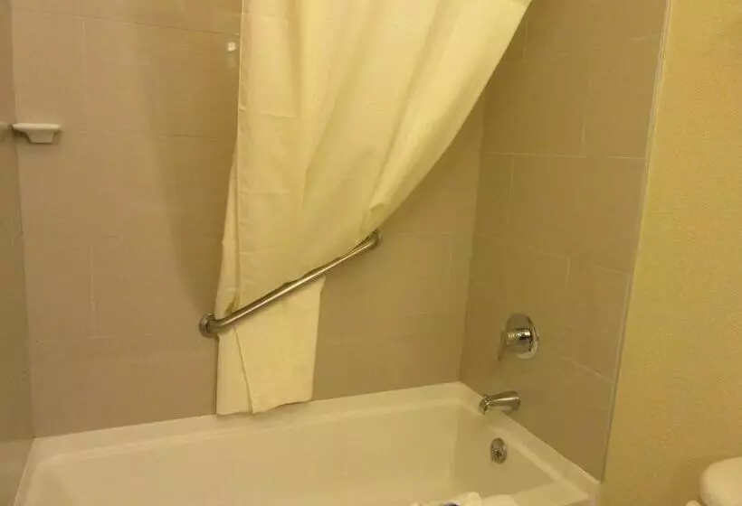 اتاق استاندارد با تخت بزرگ برای معلولان, Best Western Governors Inn And Suites