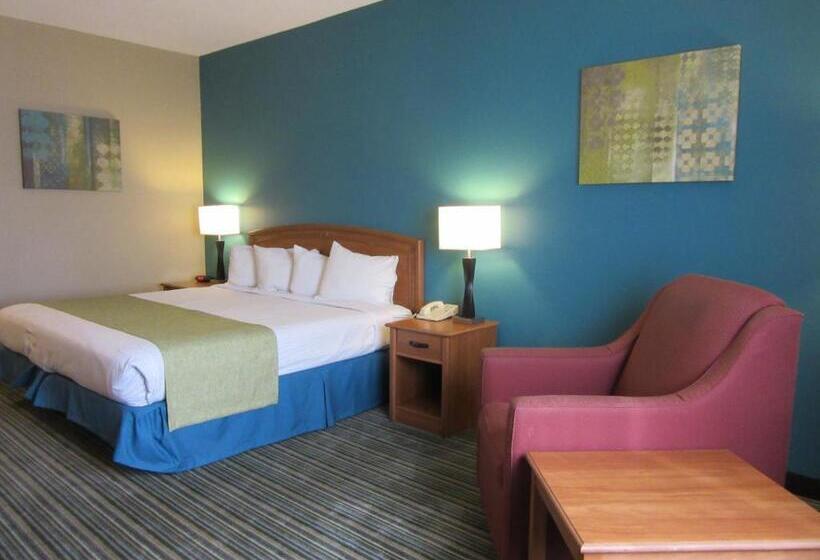 Номер Стандарт Кровать Кинг Адаптированный для Инвалидов, Best Western Governors Inn And Suites