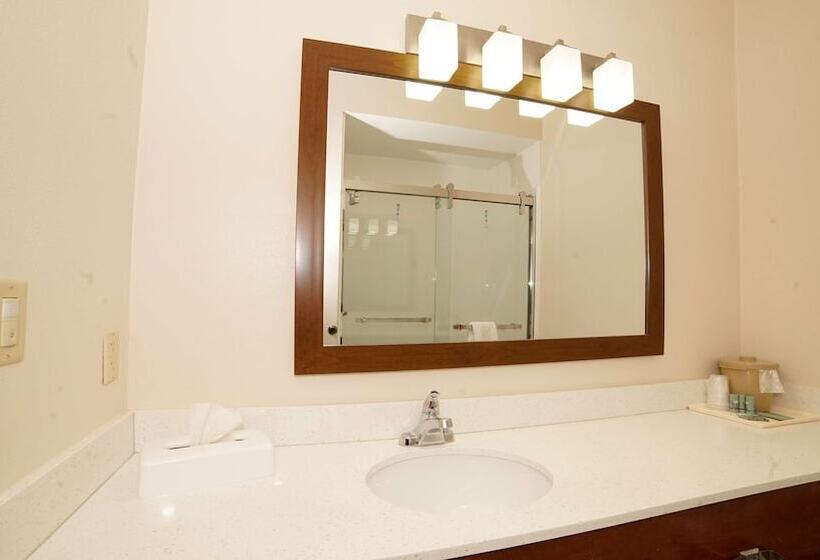 자쿠지 스위트, Best Western Joliet Inn & Suites