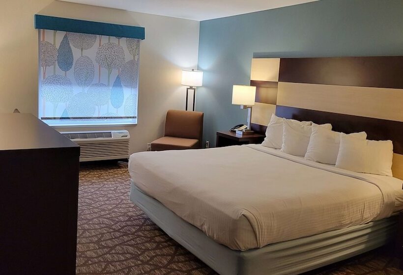 Suíte com Hidromassagem, Best Western Joliet Inn & Suites