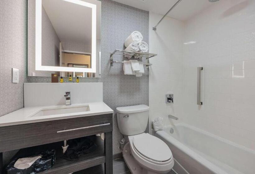 Büyük Çift Kişilik Yataklı Standart Oda, Best Western Downtown Plus Music Row