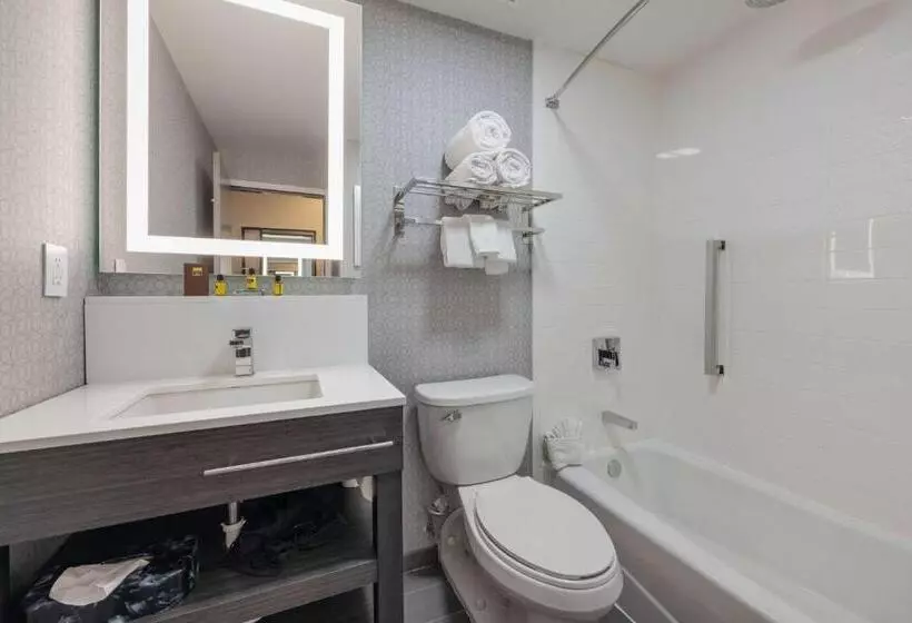 اتاق استاندارد با تخت بزرگ, Best Western Downtown Plus Music Row