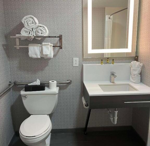 اتاق استاندارد با تخت بزرگ برای معلولان, Best Western Downtown Plus Music Row