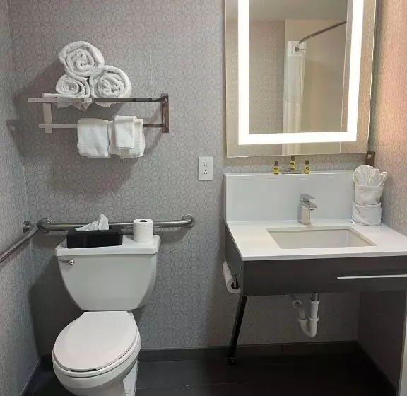 اتاق استاندارد با تخت بزرگ برای معلولان, Best Western Downtown Plus Music Row