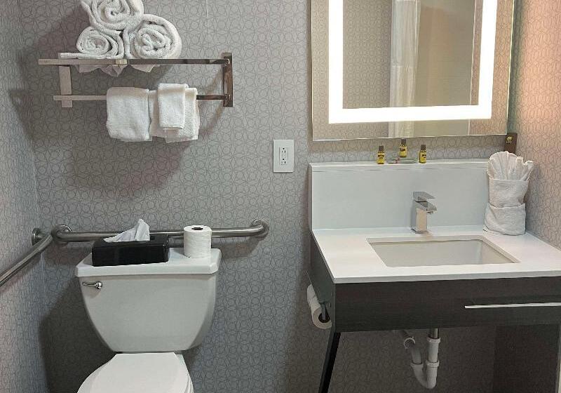 اتاق استاندارد, Best Western Downtown Plus Music Row