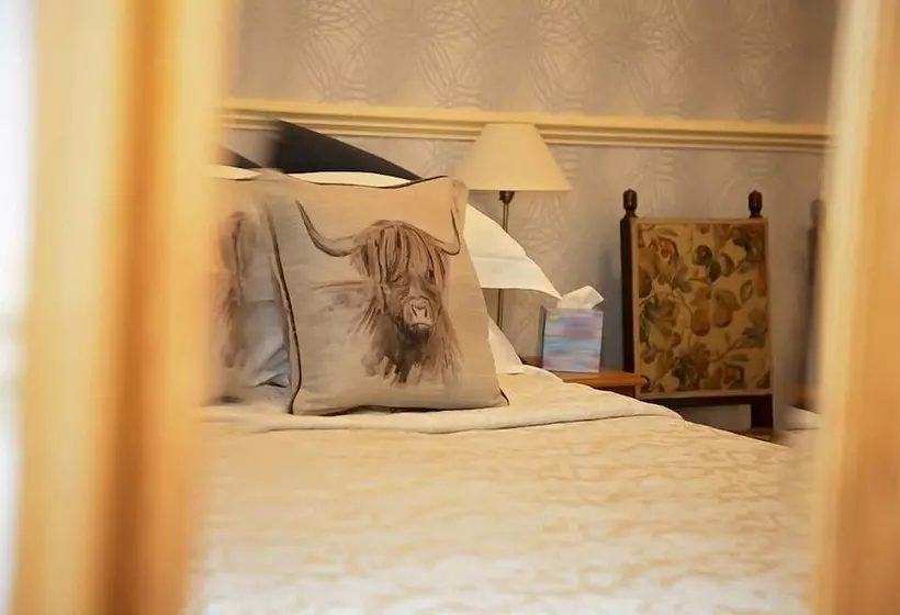 スタンダードルーム, Fir Trees Guest House