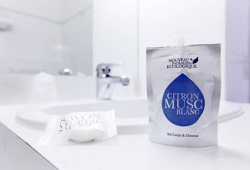 غرفة قياسية, Grand Hôtel De La Seine