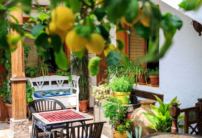 テラス付きスタンダードルーム, Boutique Hotel La Posada del Angel Ojén