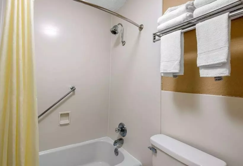 ２ダブルベッドのスタンダードルーム, Quality Inn & Suites Brooksville I 75 Dade City
