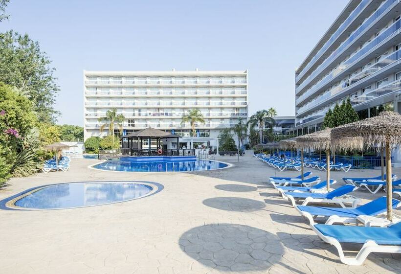 ファミリールーム, Sol Costa Daurada
