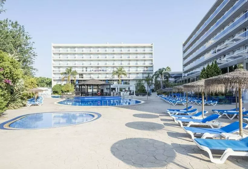 ファミリールーム, Sol Costa Daurada