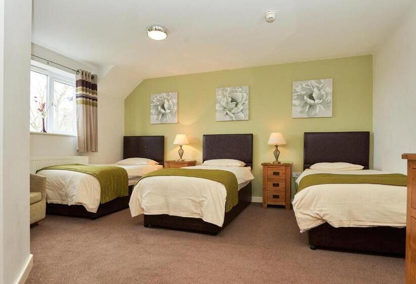 スーペリアトリプルルーム, The New Inn