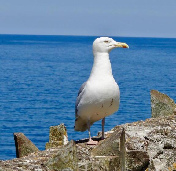 标准间, The Slipway B&b