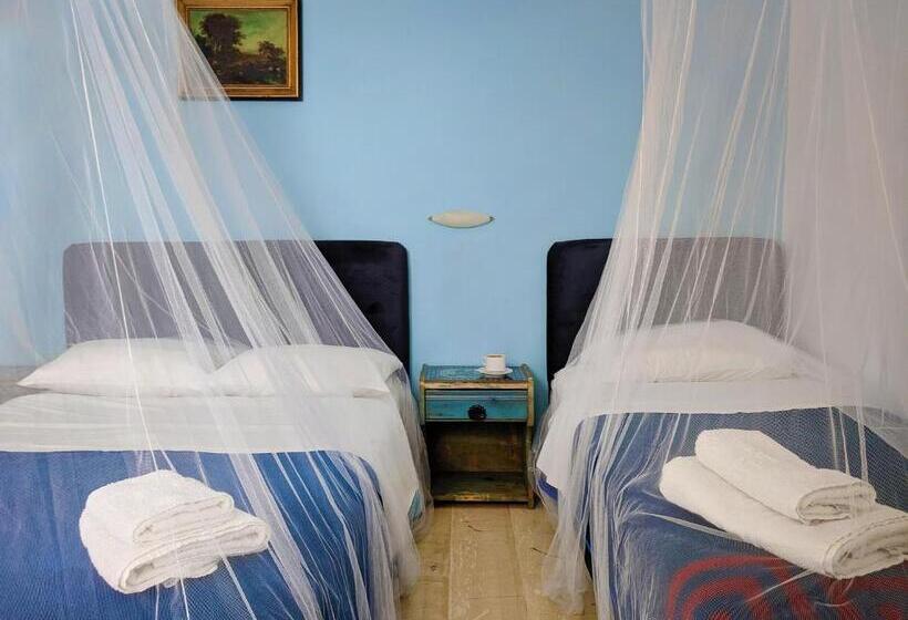 Triple Room Sea View, Coral