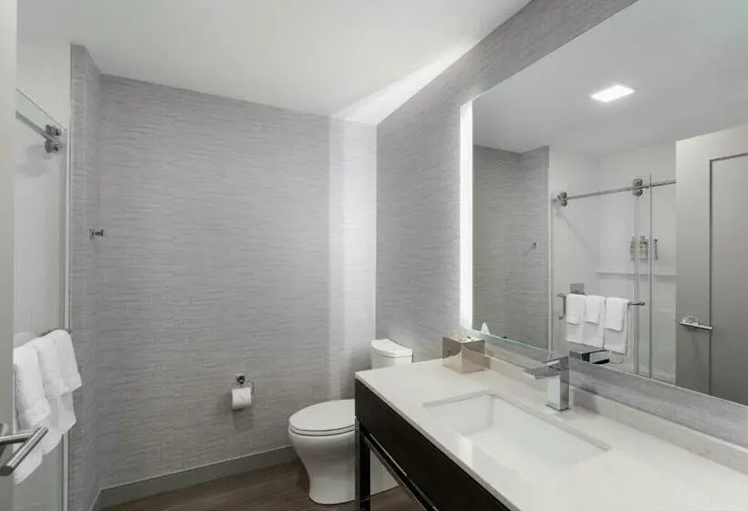キングサイズベッドのスタンダードルーム, Holiday Inn Express   Boston Logan Airport   Revere, An Ihg
