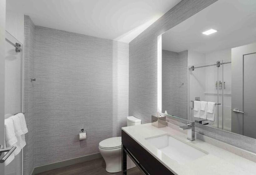 장애인을 위한 킹사이즈 침대 스탠다드 룸, Holiday Inn Express   Boston Logan Airport   Revere, An Ihg