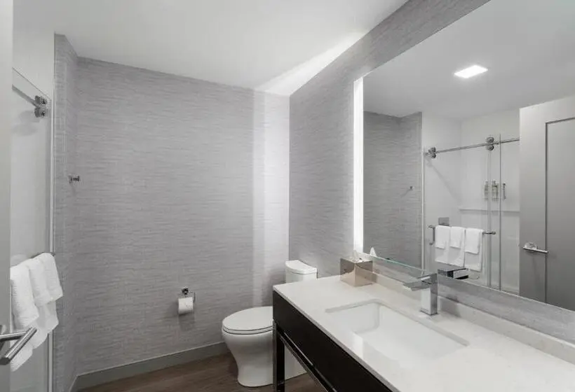 身障者適用スタンダードルーム, Holiday Inn Express   Boston Logan Airport   Revere, An Ihg