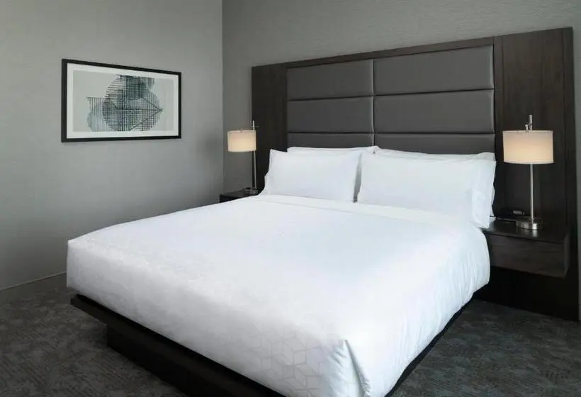 身障者適用キングサイズベッドルーム, Holiday Inn Express   Boston Logan Airport   Revere, An Ihg