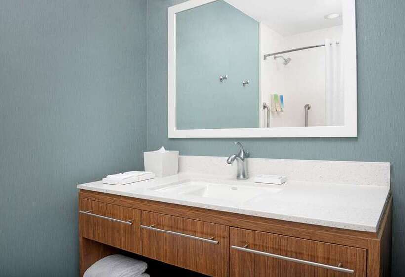Студия Стандарт, Home2 Suites By Hilton Lewisville Dallas
