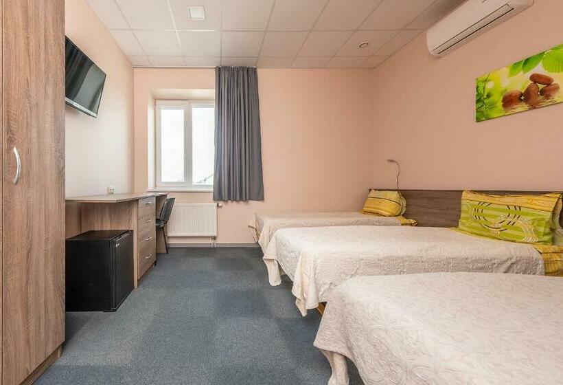 اتاق استاندارد سه نفره, Air Kaunas