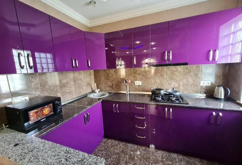 اتاق استاندارد, Gricko