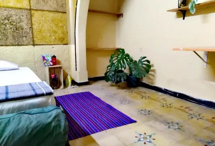 اتاق استاندارد با سرویس بهداشتی مشترک, Hostal Azul Puebla Barrio El Alto