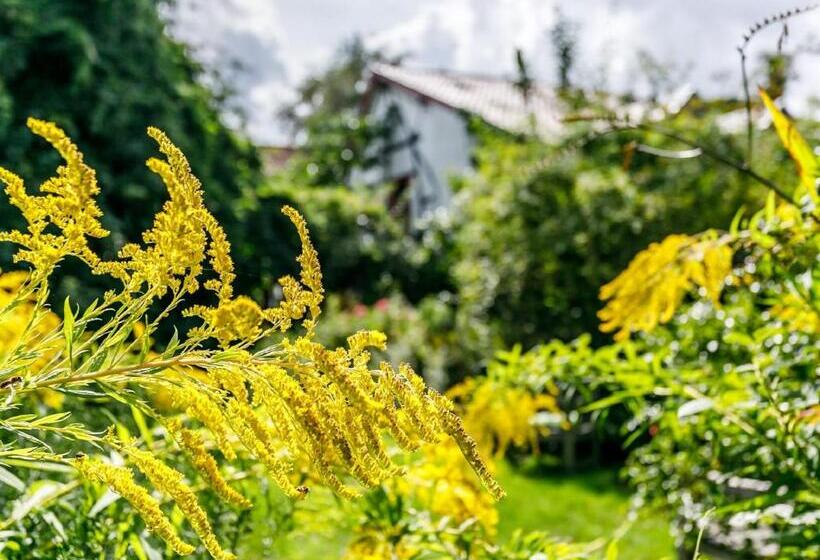 جناح غرفتين نوم, Kleebergerhofke