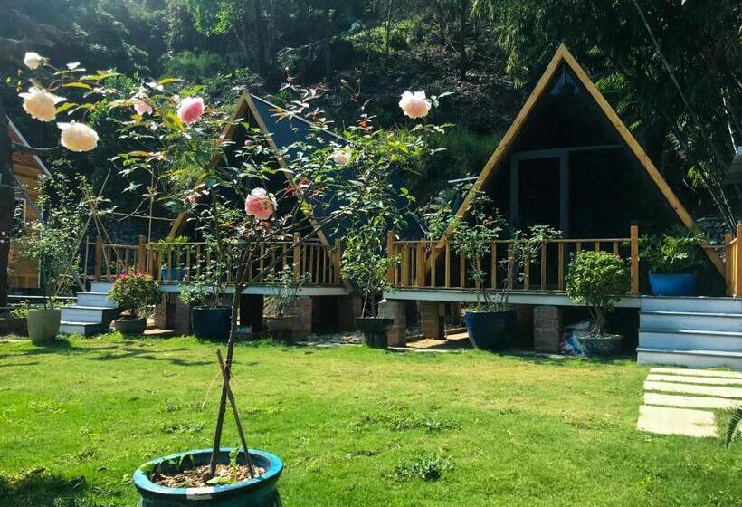 اتاق استاندارد با تخت بزرگ, Blue Lagoon Cat Ba