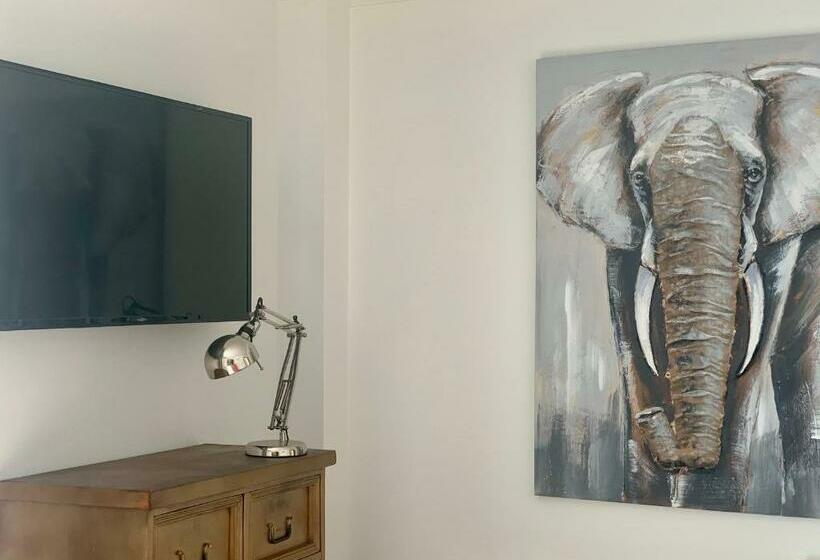 غرفة قياسية, Coccoa Boutique