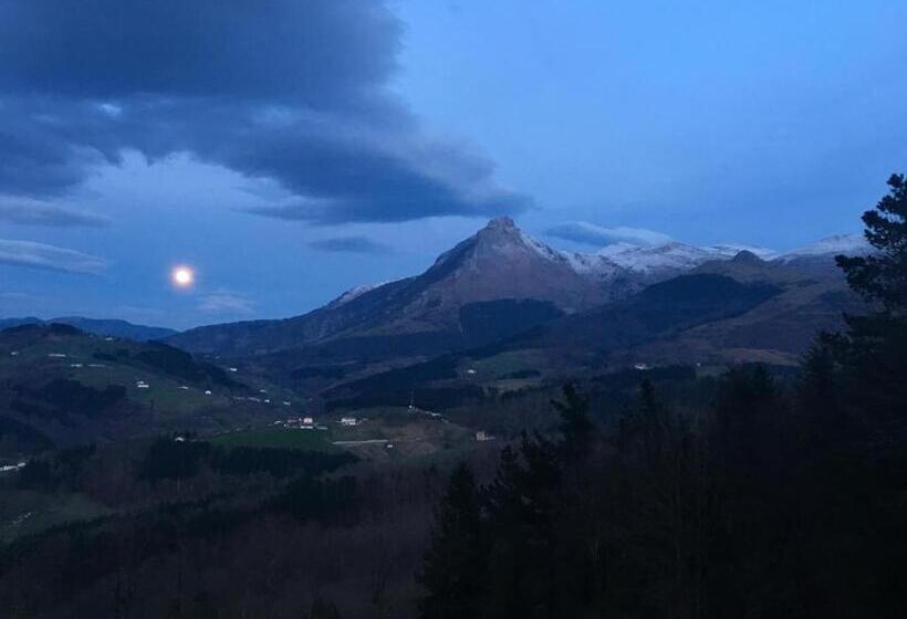 اتاق استاندارد, Zezilionea