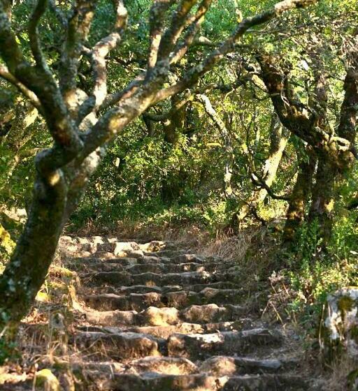 标准间, Palace Hotel Do Bussaco