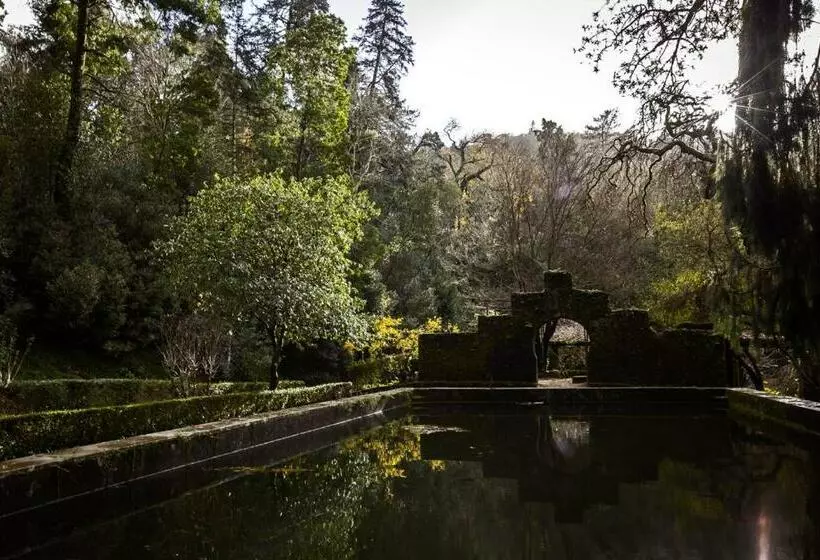 スタンダードルーム, Palace Hotel Do Bussaco