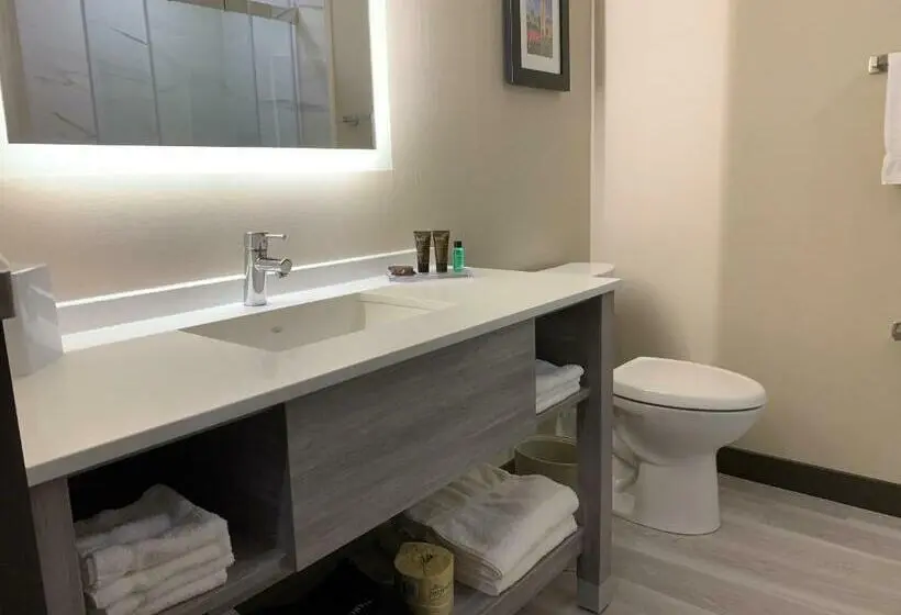 キングサイズベッドのデラックスルーム, Wingate By Wyndham Kanata West Ottawa