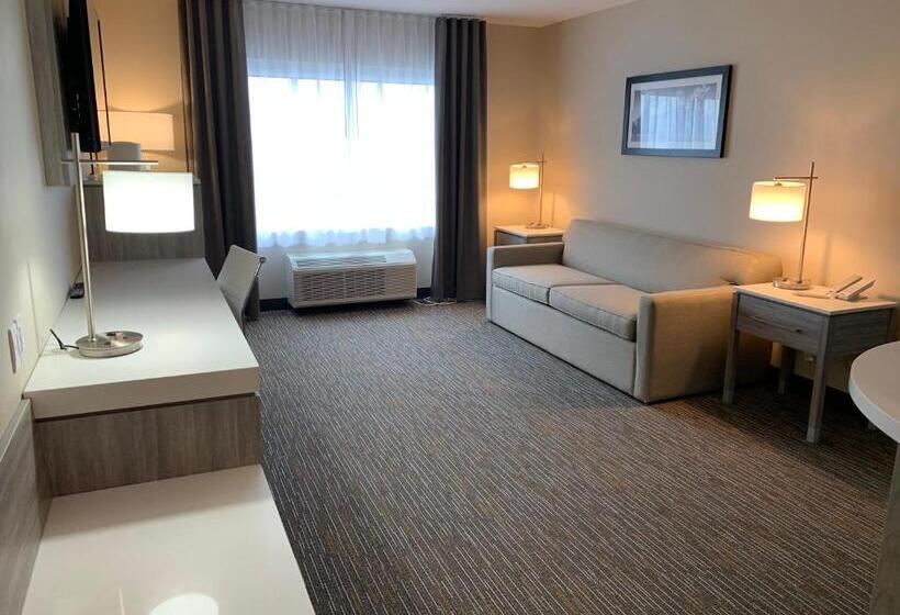 キングサイズベッドのスイートルーム, Wingate By Wyndham Kanata West Ottawa