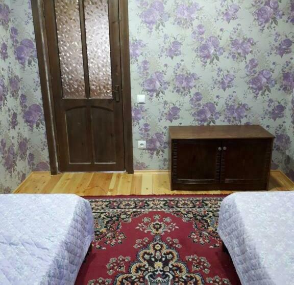 اتاق اکونومی, Traveller