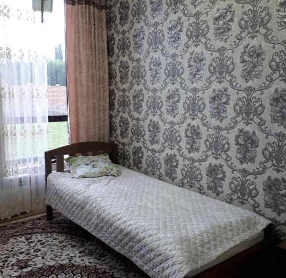 اتاق اکونومی یک تخته, Traveller