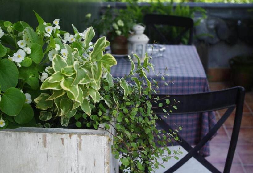 Номер Стандарт с Террасой, Hangzhou Jiuyueji Bed&breakfast