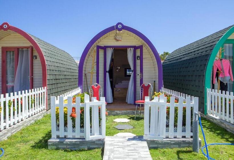 Standard Bungalow, Phi Kite School