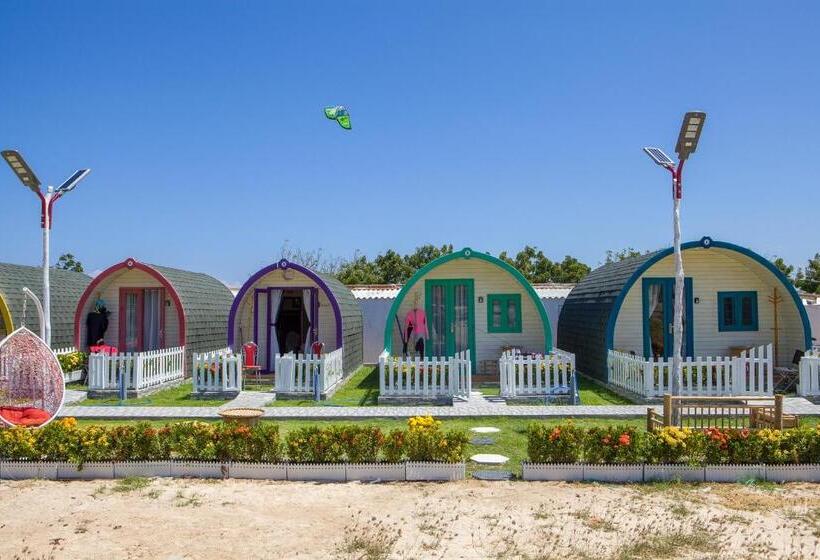 Standard Bungalow, Phi Kite School