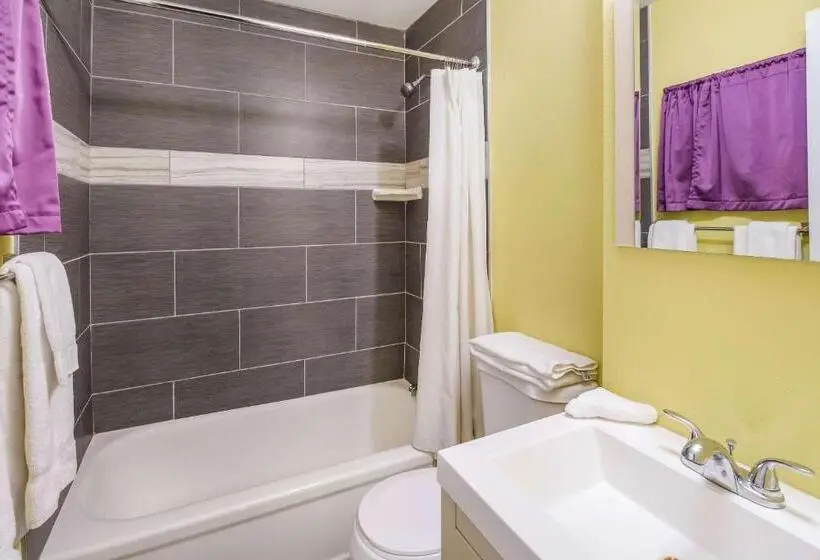 اتاق استاندارد با تخت بزرگ, Rodeway Inn