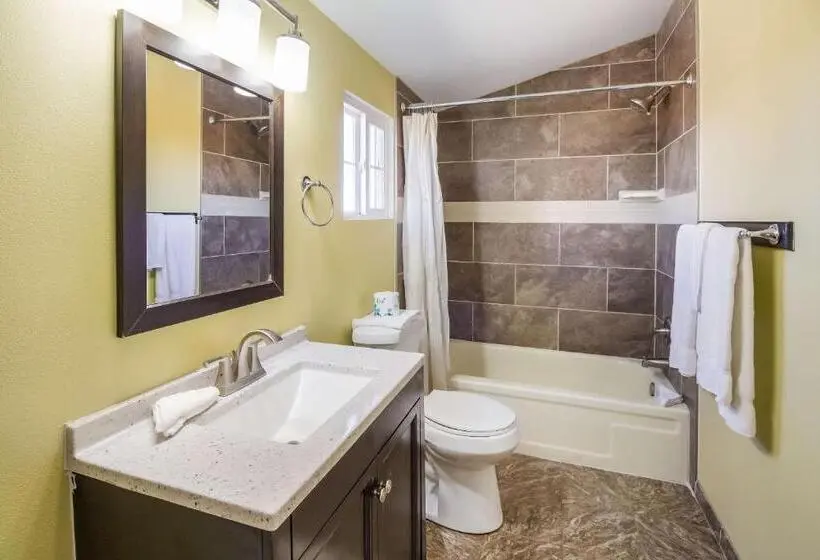 اتاق استاندارد با تخت بزرگ, Rodeway Inn