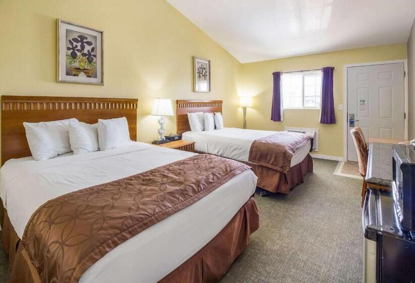 Номер Стандарт, Rodeway Inn