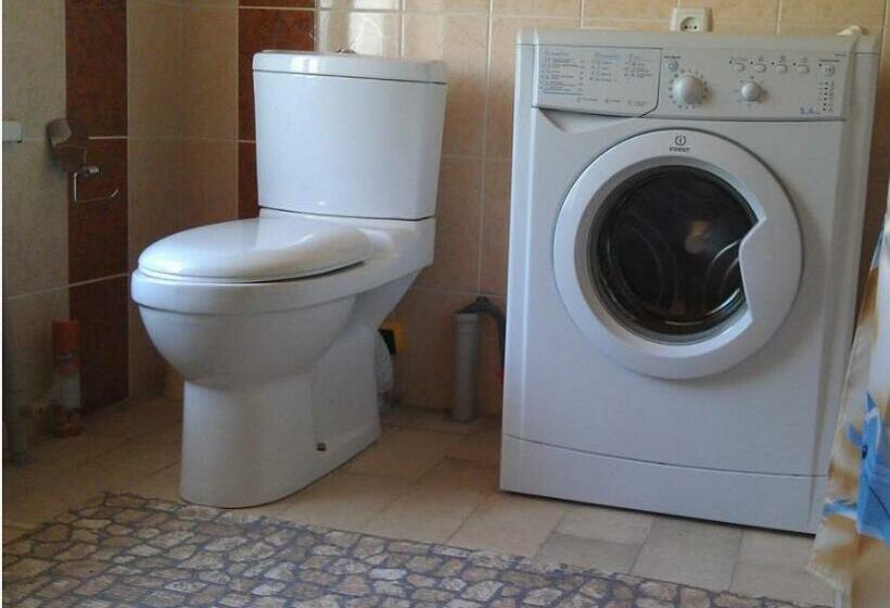 آپارتمان 1 خوابه, Guest House Vip