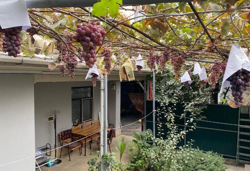 اتاق استاندارد, Guest House Vip