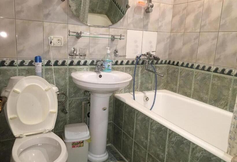 آپارتمان 3 خوابه, Guest House Vip